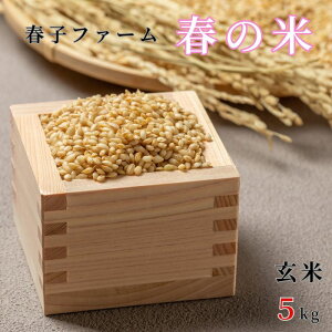 yӂ邳Ɣ[ŁzIׂeʁ@t̕ā@ā@3kg 5kg ^    R ͂ _ _sgp t̕  ߘa7NY V 3kg 5kg t  tqt@[ Yn Y 