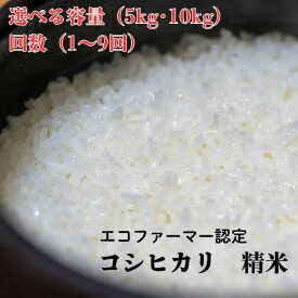 【ふるさと納税】 令和7年産 新米 選べる容量・回数 コシヒカリ 白米 5kg 10kg 【エコファーマー認定】 ／ 米 こめ コメ ごはん ご飯 お米 おこめ 精米 白米 新米 エコファーマー認定 5kg 10kg 令和7年 千葉県 東庄町 産地直送