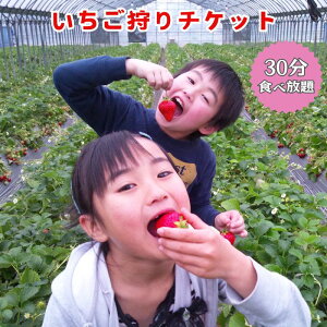 yӂ邳Ɣ[ŁzyRόz30Hו`Pbg4   C`S ̌`Pbg  ʕ ̌ Cxg t 