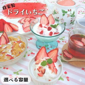 【ふるさと納税】 【磯山観光いちご園】自家製ドライいちご 150g 25g×6袋 手作り いちご 苺 イチゴ ドライフルーツ 無添加 国産 果物 フルーツ 千葉県 東庄町