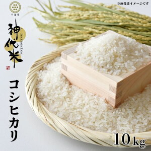 yӂ邳Ɣ[Łz  Iׂe _ i RVqJ j  5kg 10kg ^   R tY