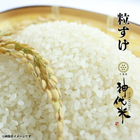 【ふるさと納税】米 選べる容量・回数　神代米（ 粒すけ ） 精白米 5kg 10kg ／ 米 こめ コメ ごはん ご飯 神代米 粒すけ 令和7年産 新米 精米 神代米 5kg 送料無料