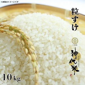 yӂ邳Ɣ[Łz  Iׂe _ i  j  5kg 10kg ^   R tY