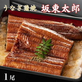 【ふるさと納税】 うなぎ　坂東太郎　蒲焼　1尾 ／ うなぎ 鰻 ウナギ 蒲焼 蒲焼き 坂東太郎 国産 千葉県 東庄町 送料無料