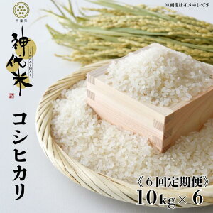 yӂ邳Ɣ[Łz IׂeʁE񐔁@_āiRVqJj@ā@5kg@10kg ^   R ͂  RVqJ Ђ ߘa7NY V  _ 5kg 10kg 