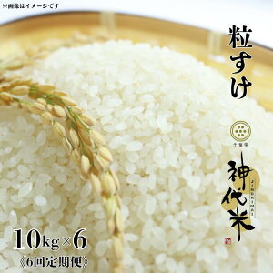 yӂ邳Ɣ[Łz IׂeʁE񐔁@_āi  j  5kg 10kg ^   R ͂  _  ߘa7NY V  _ 5kg 