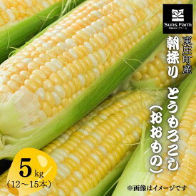 【ふるさと納税】東庄町産　朝採り　とうもろこし（おおもの）　5kg ／ とうもろこし トウモロコシ おおもの 朝採り 産地直送 千葉県 東庄町 送料無料
