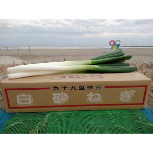 yӂ邳Ɣ[Łz˂@LLTCY@5kg@͂F2025N12{2026N4{܂