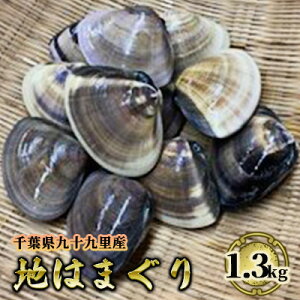 yӂ邳Ɣ[Łz͂܂ t \㗢Y n͂܂ 1.3kg JlY L CN CY C̍K   Y Y ͂܂ o[xL[ BBQ z Y n}O  Yn 