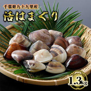 yӂ邳Ɣ[Łz͂܂ t \㗢Y ͂܂ 1.3kg L CN CY C̍K   Y Y ͂܂ o[xL[ BBQ z Y n}O  Yn ① ①z 