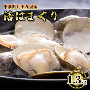 yӂ邳Ɣ[Łz͂܂ t \㗢Y ͂܂ 1.3kg L CN CY C̍K   Y Y ͂܂ o[xL[ BBQ z Y n}O  Yn ① ①z 