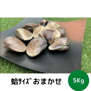 yӂ邳Ɣ[ŁzntIIhVRh߃TCYCZbg5kg CN  L L ͂܂ Ղ 5kg