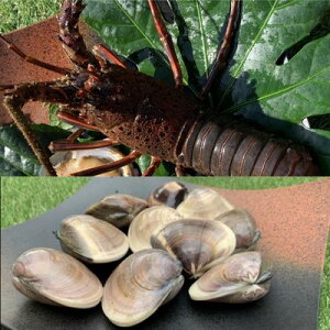 yӂ邳Ɣ[ŁztIԔZbgiɐCVAVRjⓀ CN L  CZGr ͂܂ BBQ o[xL[ C̍K Yn