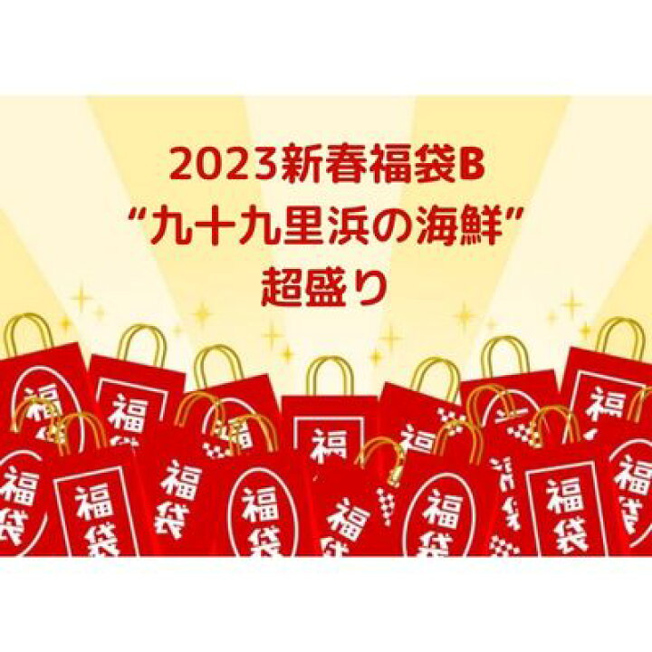 楽天市場 ふるさと納税 23新春福袋b 九十九里浜の海鮮 超盛り 魚介類 魚貝類 加工食品 お届け 23年1月10日 23年1月31日 千葉県九十九里町