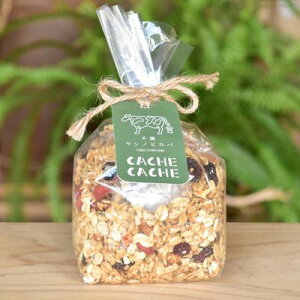 yӂ邳Ɣ[ŁztEVmqo JVJVOm[ HHi َq IWi Vs I[c N~ Ԑ [Y N