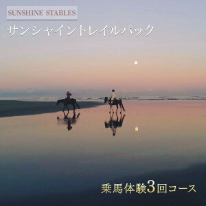 yӂ邳Ɣ[Łz[SUNSHINE STABLES]TVCgCpbN ̌`Pbg
