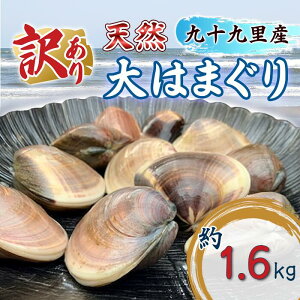 �y�ӂ邳�Ɣ[�Łz�󂠂� �͂܂��� �K�i�O ��͂܂��� 4�p�b�N �v 1.6kg �L �C�N ���� �C�̍K �n�}�O�� �� �C�Y�� ���Y �V�R �Y�n���� ��t�� ��\�㗢 ��\�㗢�l