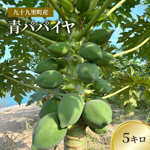 �y�ӂ邳�Ɣ[�Łz��\�㗢���Y�@�p�p�C���@5�L���@�ʕ� �t���[�c ��� �p�p�C�� �T���_ �\���^�� �u�ߕ� �V�Ղ� �p�p�C�� �|���t�F�m�[�� �r�^�~��C �_�C�G�b�g ��t�� ��\�㗢���@����