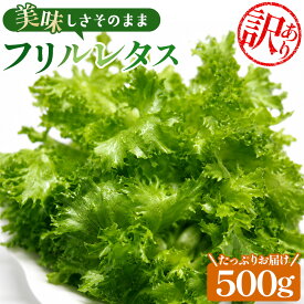 【ふるさと納税】 【訳あり】不揃いのレタスたち（フリルレタス）500g×1袋 ／ 野菜 緑黄色野菜 βカロテン シャキシャキ 食感 サラダ 送料無料 千葉県 不揃いレタス 野菜 サラダ用 野菜素材 シャキシャキ ふんわり 食感 新鮮 葉物野菜 食卓素材 野菜ストック No.014