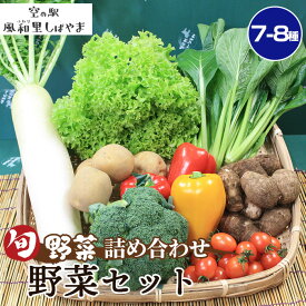 【ふるさと納税】 野菜セット（7～8種） ／ 野菜 季節の野菜 旬 新鮮 自慢の逸品 詰め合わせ 送料無料 千葉県 旬野菜 詰合せ 新鮮 食材 野菜詰め合わせ レシピ素材 サラダ用 炒め物用 朝食食材 家庭用食材 料理素材 産直 野菜ストック No.061