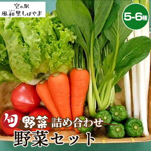 yӂ邳Ɣ[ŁzNo.062 ؃Zbgi5`6j ^  G߂̖ { VN ̈i lߍ킹  t