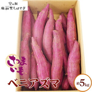 yӂ邳Ɣ[ŁzNo.066 Tc}CixjAY}j5kg ^  ܂ F g  t