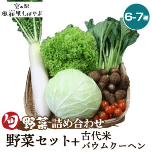 yӂ邳Ɣ[ŁzNo.069 ؃Zbg6`7{ÑăoEN[w ^  G߂̖ { VN XC[c mَq o[N[w ̈i  t