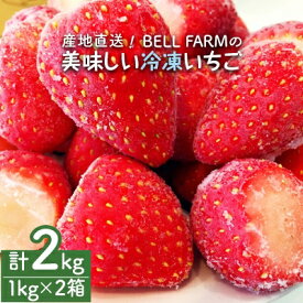 【ふるさと納税】産地直送!BELL FARMの美味しい冷凍いちご　2kg【1kg×2箱】【配送不可地域：離島】【1013445】