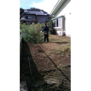 yӂ邳Ɣ[Łz炢PAX^_[h`Pbgy1454749z