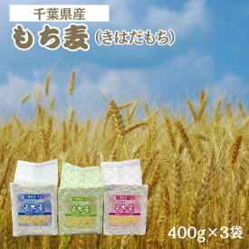 【ふるさと納税】もち麦セット　食物繊維たっぷりの「もち麦」(きはだもち) 400g×3袋 千葉県横芝光町産【1522910】