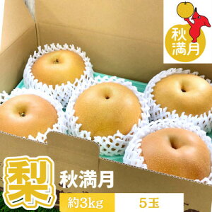 yӂ邳Ɣ[ŁzytŌYz2021Nfr[̐ViwHx3kg(5) ̂悤ȑʂ̗y1673016z