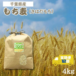 yӂ邳Ɣ[ŁzyցzH@ۂՂ́uv(͂) 4kg tŌYS12y4056806z