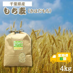 yӂ邳Ɣ[ŁzyցzH@ۂՂ́uv(͂) 4kg tŌYS6y4056807z