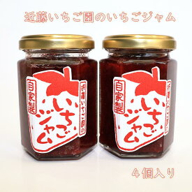 【ふるさと納税】近藤いちご園のいちごジャム　4個セット
