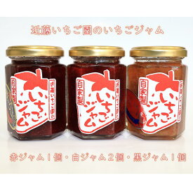 【ふるさと納税】近藤いちご園の赤・白・黒いちごジャム　4個セット　（赤ジャム1個・白ジャム2個・黒ジャム1個）