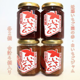 【ふるさと納税】近藤いちご園の赤・白いちごジャム　4個セット　（赤ジャム2個・白ジャム2個）