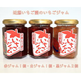 【ふるさと納税】近藤いちご園の赤・白・黒いちごジャム　4個セット　（赤ジャム1個・白ジャム1個・黒ジャム2個）