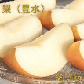 【ふるさと納税】【先行予約】梨（豊水）約5kg　2026年発送分　千葉県産　長生　一宮