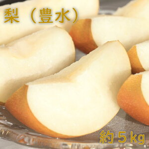 yӂ邳Ɣ[Łzys\ziLj5kg@2026N@tY@@{