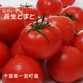 【ふるさと納税】とまと 2箱（40～48個(約8kg)）　トマト　千葉県　長生トマト　8kg