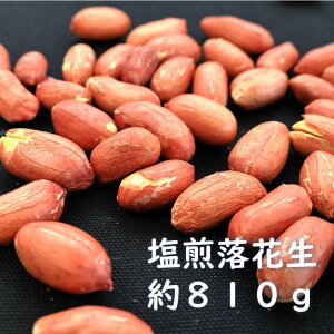 yӂ邳Ɣ[Łz藎ԐitYj@810g@s[ibc@