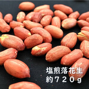 yӂ邳Ɣ[Łz藎ԐitYj@720g@s[ibc@