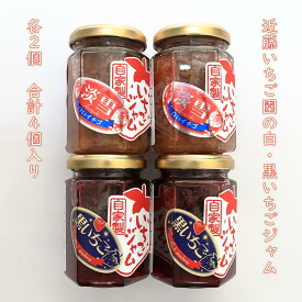 【ふるさと納税】近藤いちご園の白・黒いちごジャム　4個セット　（白ジャム2個・黒ジャム2個）