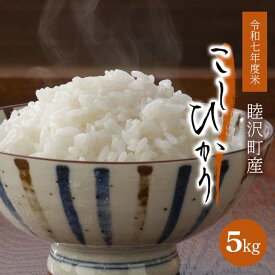 【ふるさと納税】 令和7年産 むつざわ米 こしひかり5kg F21G-102