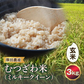 【ふるさと納税】令和5年産米 むつざわ米（ミルキークイーン）玄米 3kg 澤田農産 F21G-200