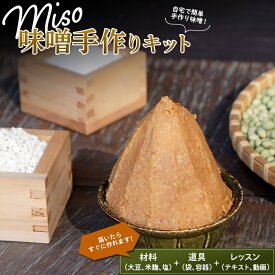 【ふるさと納税】 自宅で簡単に仕込める「MISO手作りキット」 味噌 みそ 生味噌 F21G-224
