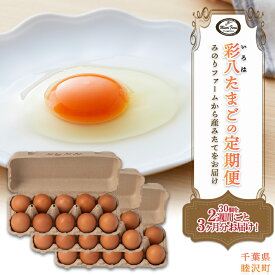 【ふるさと納税】2週間ごとお届け たまご 30個 とれたて定期便(3・6・12カ月) 彩八(いろは) 国産 鶏卵 卵 玉子 タマゴ 生卵 濃厚 コク F21G-231var
