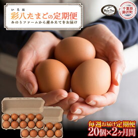 【ふるさと納税】毎週お届け たまご 20個 とれたて定期便(2・4・5・6か月) 彩八(いろは) 国産 鶏卵 卵 玉子 タマゴ 生卵 濃厚 コク F21G-242var