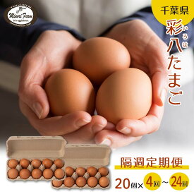 【ふるさと納税】2週間ごとにお届け たまご 20個 とれたて定期便 (2～12か月) 彩八(いろは) 国産 鶏卵 卵 玉子 タマゴ 生卵 濃厚 コク F21G-247var