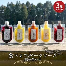 【ふるさと納税】 睦沢の果実を使った「食べるフルーツソース」おまかせ3種詰合せ 梅 いちじく ミックスベリー キウイ レモン セット ジャム 加工品食 食品 千葉県 睦沢町 F21G-276